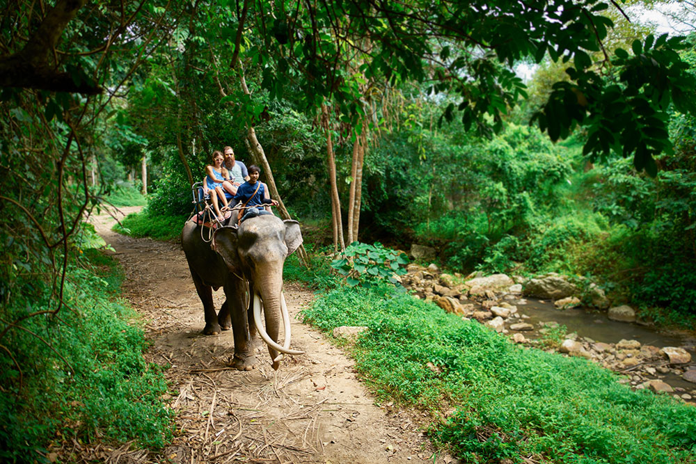 Ταξίδια επιβράβευσης
